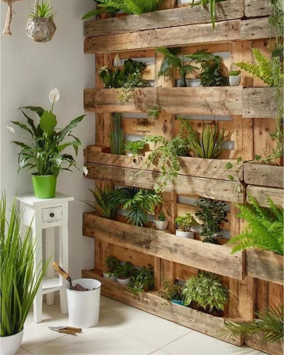 Wooden pallet wall with built-in planters holding various green indoor houseplants.