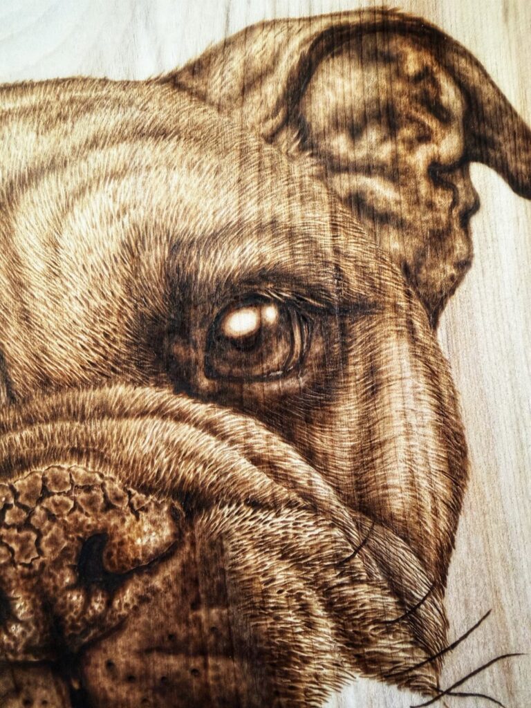 Detailed wood-burned portrait of a bulldog face on light-colored wood grain surface.