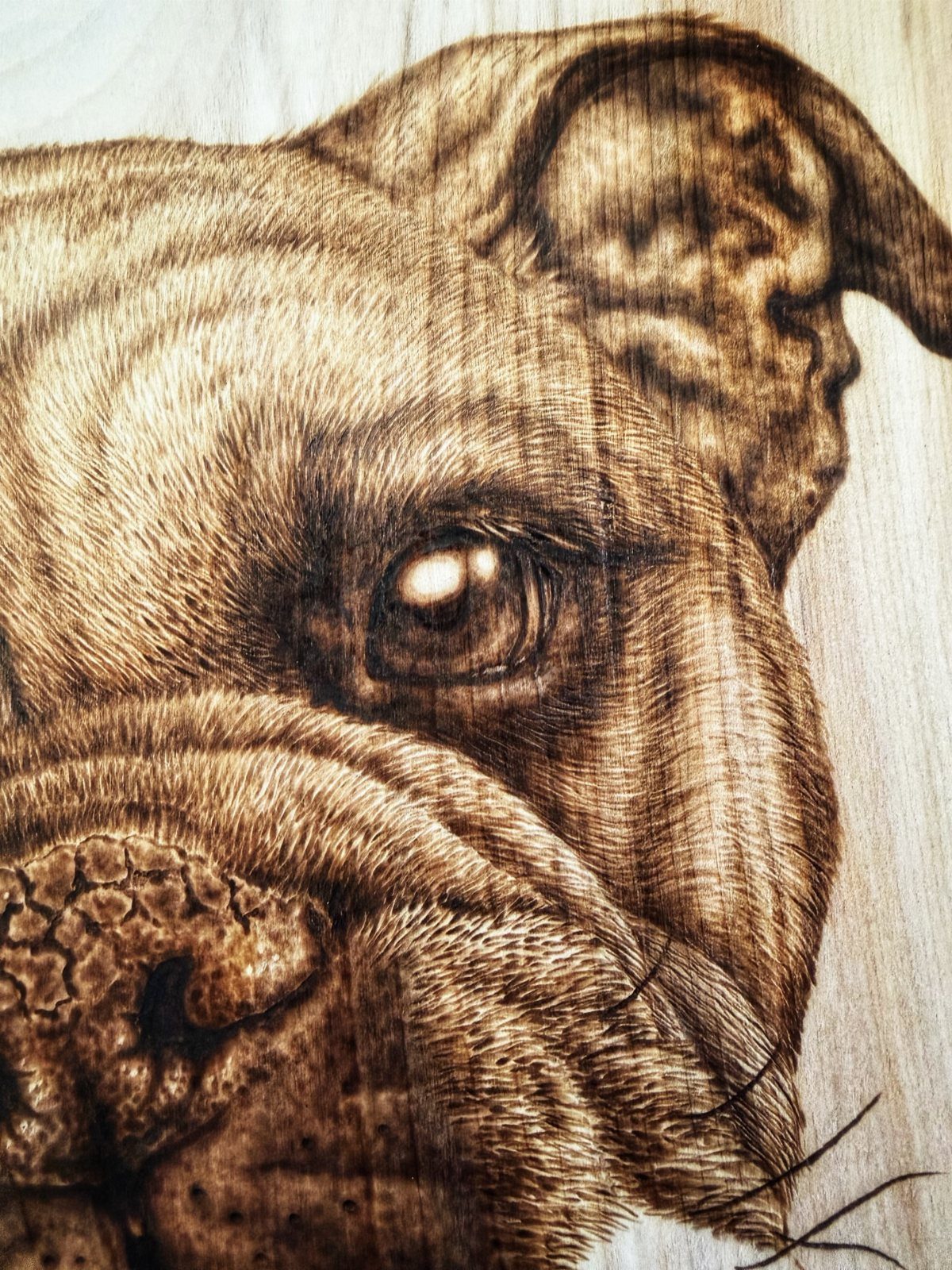 Detailed wood-burned portrait of a bulldog face on light-colored wood grain surface.